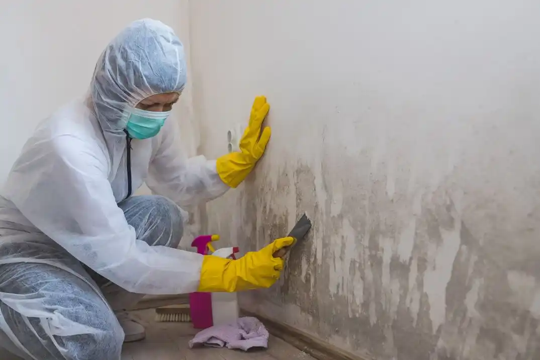 water damage restoration service Brainerd Hills